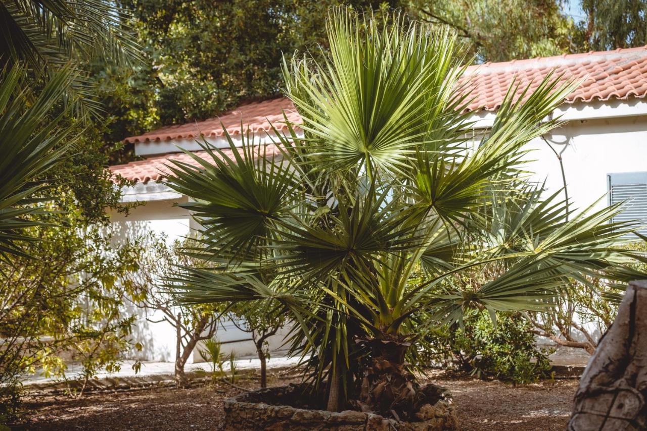 Apartmán Iphigenia Mythic Retreat Hersonissos  Exteriér fotografie